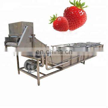 Strawberry Washing Machine Watermelon Washing Machine photo-4