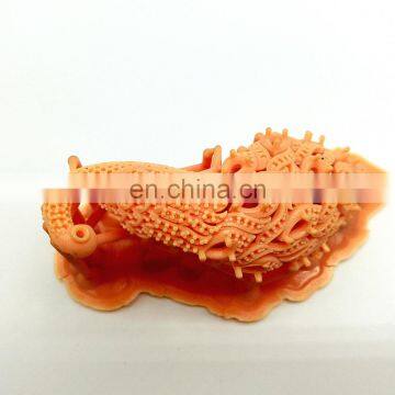 2020 New Design Best Price Jewelry Dental Toys Prototypes Shoes 3D Printer Sale