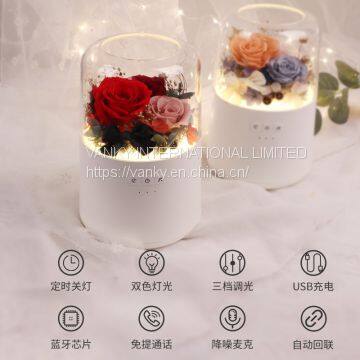 Dandelion Music Box photo-3