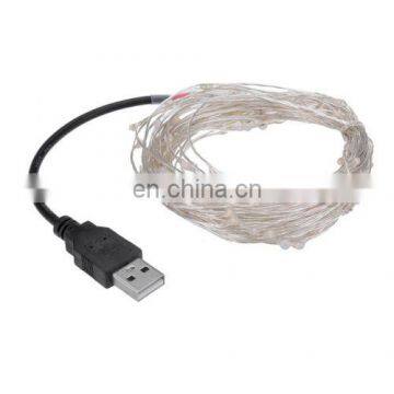 USB Powered Waterproof Copper Wire LED Lights 10 Meter 100 LED photo-2