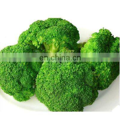 2020 High Quality Fresh Vegetable Fresh Broccoli photo-2