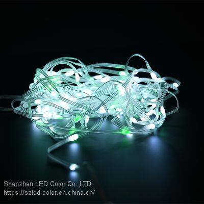 Decorative RGBIC Digital LED String Light USB IP65 Waterproof Led String Light App Control for Christmas home