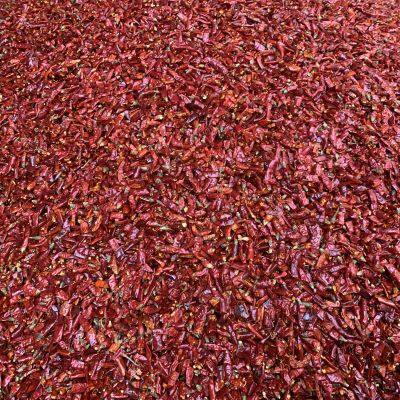 Wholesale Bulk Items Dry Red Chilli Sichuan Pepper Whole or Cut Offr or Chili Powder photo-5