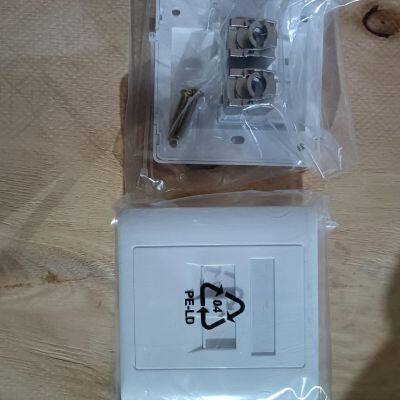 Subscriber dual-port outdoor socket, fully equipped, cat. 6A, 2xRJ-45, 10 GE, 1 GE,  white