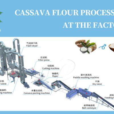 Cassava to Fufu Making Machine Cassava Grinder Machine Nigeria and Ghana Cassava Processing Machinery