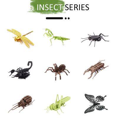 OEM DIY Paper Craft Insect Puzzle Toy Jagsaw Puzzle Model Kit Wholesale