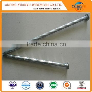 flat round head common nails concrete steel nails