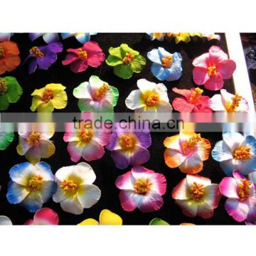 Hawaiian Foam Flower,Plumeria flower,Hibiscus flower, Frangipani flower JYF00625