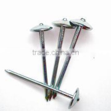 umbrella roofing nails