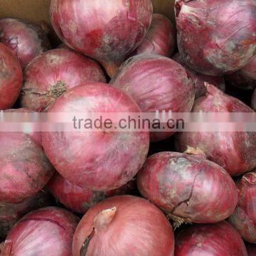 2014 Fresh Red Onion China Wholesale photo-2