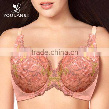 New Design Stylish Big Bras Sexy Ladies Underwear Plus Size Bra