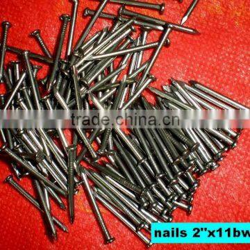 good quality fast sell common iron nail