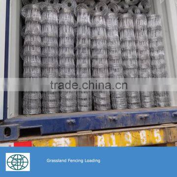 galvanized cattel fencing hot sale