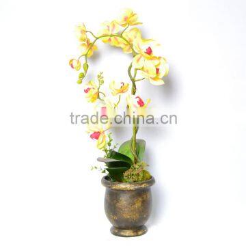 Phalaenopsis Orchid Flower Arrangement, Yellow