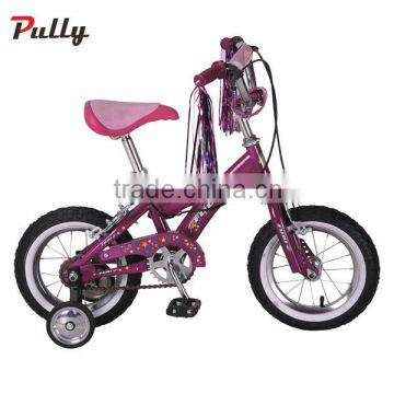 Freestyle All Kinds of Price BMX Bicycle