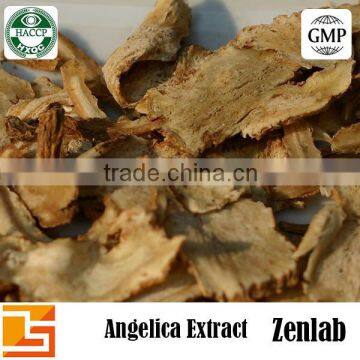 angelica extract powder in bulk for lowing Blood pressure