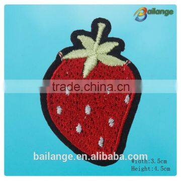 Nice Embroidered Patches for Coat Decoration