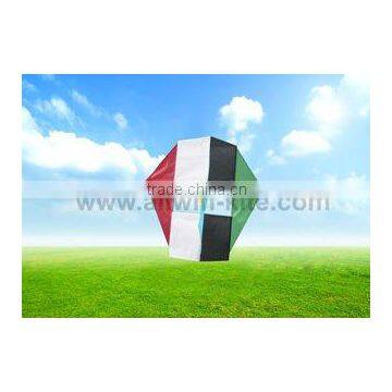 Cute Cubic Kites