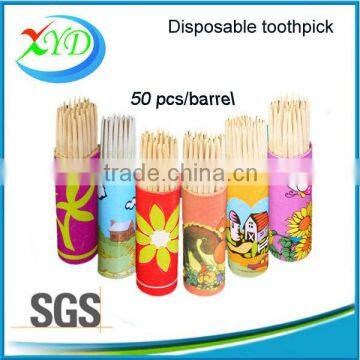 birch wooden toothpicks packed in plastick pot plastick picks