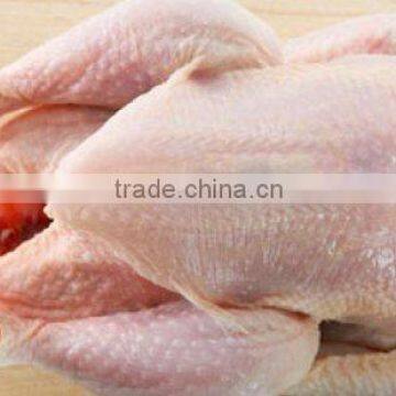 High Quality Halal Whole Frozen Chicken for Sale