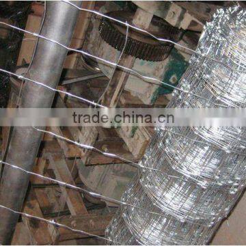 2016 hot sale product galvanized chain link fence for zoo / chainlink wire fence