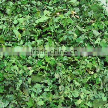 DRIED MORINGA LEAVES