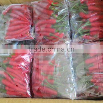 Red Chilli Available... photo-5