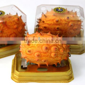 The Horned Melon Seeds Cucumis metuliferus Melano Jelly Melon Seeds For Growing