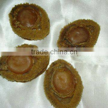 dried abalone