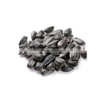 Organic Sunflower Seeds 5009 Sunflower Seeds White Sunflower Seeds photo-3