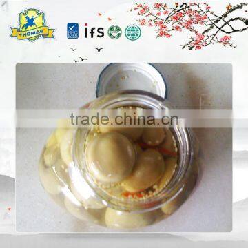 China Food Canned Champignon Mushroom