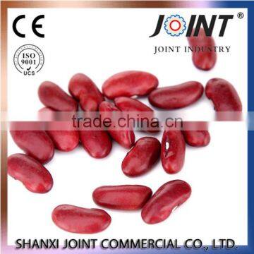 England red kidney beans