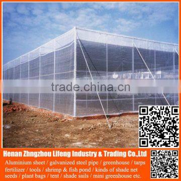 Top Selling 20/30/40/50 Mesh Hdpe Plastic Agriculture Greenhouse Vegetable and Fruit Anti-insect Net , Nylon Insect Net photo-5