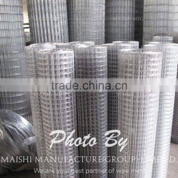 2x2 Galvanized Wire Mesh photo-4
