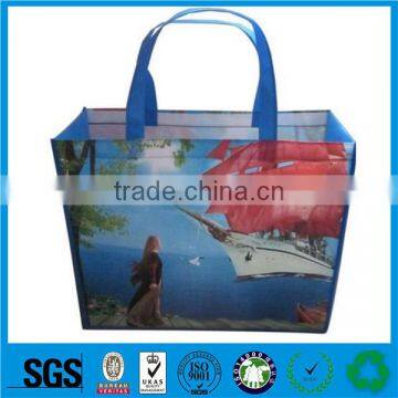 Non Woven Bags for Shopping photo-3