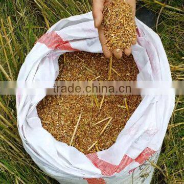 Crawler Type Mini Grain Harvester With Driver Seat photo-6