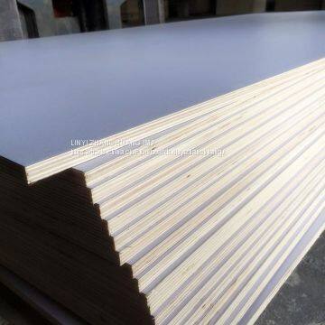 Film Faced Plywood photo-5