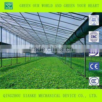 Single-Span Sunlight Seeding Greenhouse in China photo-3