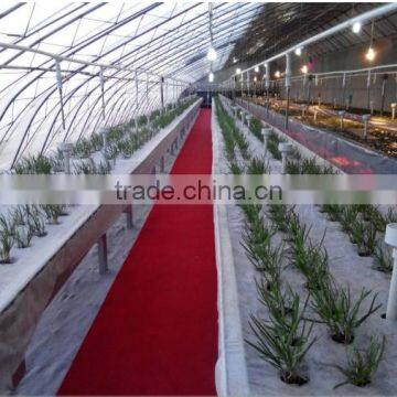 Hydroponics Growing Equipment for Sale photo-2