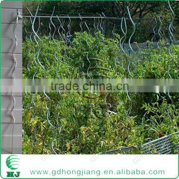 Metal Plant Support Stake for Tomato Cage 6feets photo-4