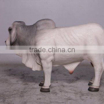 Definitive Brahman Looking Right photo-3