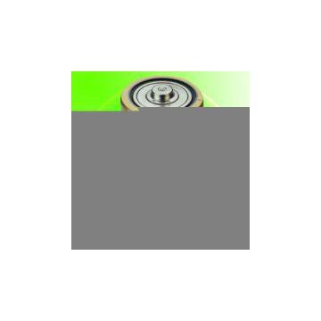 Sell D Size Carbon Zinc Battery 1.5V