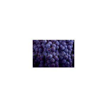 Chinese Globe Juicy Fresh Red Seedless Grapes  9KG / Foam ctns