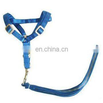 pet leash