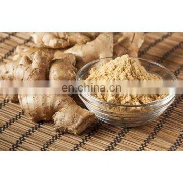 Ginger Powder