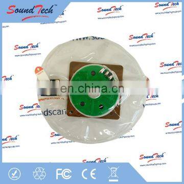 Electronic components water proof voice chip