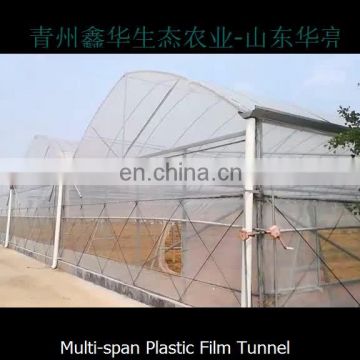 Classic Commercial Plastic Film Greenhouse for sale