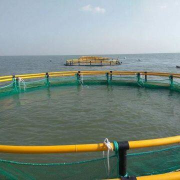 Floating Aquaculture Fishing Cage Wear Resistance Floating Fish Cage