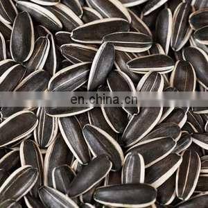 Factory Supply New Harvest Roasted Sunflower Seed With Market Price And High Quality for us photo-5