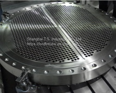 Heat Exchanger Tube Sheet, Fixed Tubesheet, Floating Tube sheet